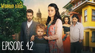 Wounded Birds  Episode 42  Multi Lang Subtitles Turkish Drama  Yaralı Kuşlar 2019 [upl. by Leontyne]