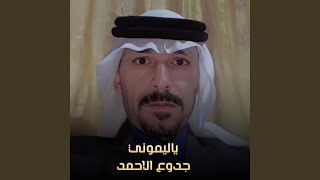 ياليموني Live [upl. by Nariko]