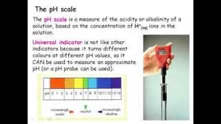 IGCSE Chemistry Acids Bases and Salts [upl. by Eixirt]