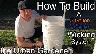 How to build A 5Gallon Bucket Water Wicking Growing System  Read Video Description for UPDATE [upl. by Oren654]