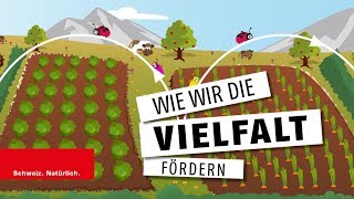 Biodiversität  Wie wir die Vielfalt fördern [upl. by Aisorbma]