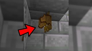 Minecraft Bat FACTS [upl. by Ahsenik142]