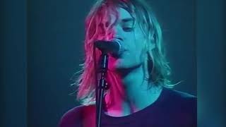 Nirvana  Love Buzz Shocking Blue cover Live at Paradiso Amsterdam 1991 [upl. by Ainod536]