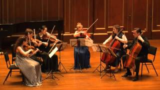 Arnold Schoenberg  Transfigured Night for String Sextet Op 4 [upl. by Kermie]