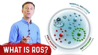 What Are Reactive Oxygen Species ROS  Dr Berg [upl. by Barthelemy765]