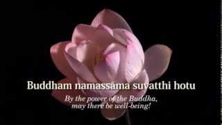 Ratana Sutta  The Jewel Discourse  Animated Subtitles amp Translations HD 720p [upl. by Nodnarbal596]