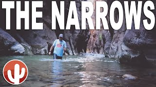 A Completionists Guide to Hiking THE NARROWS Bottom Up  Zion National Park [upl. by Rolfston433]