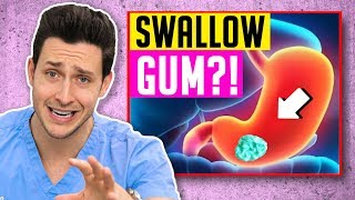 The TRUTH About Swallowing Gum  Responding To Comments 16 [upl. by Wiggins]