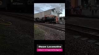 Steam Locomotive Going Backwards [upl. by Margherita]