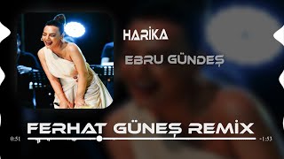 Ebru Gündeş  Harika  Ferhat Güneş Remix [upl. by Tahmosh28]