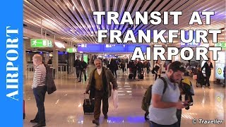 TRANSIT WALK AT FRANKFURT Airport FRA Terminal 1  Connection Flight Transfer Arriving amp Departing [upl. by Lurleen]