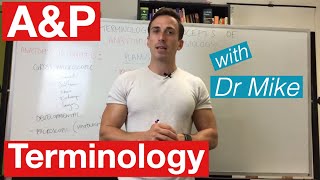 Basic terminology and concepts of Anatomy and Physiology AampP [upl. by Ednihek]